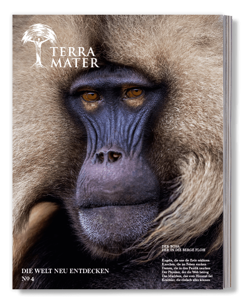 Aktuelles Cover vom Magazin Terra Mater